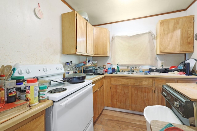 kitchen with sink, light wood-type flooring, and white electric range oven