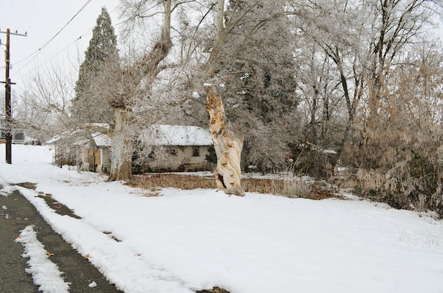 view of snowy yard