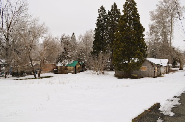 view of snowy yard