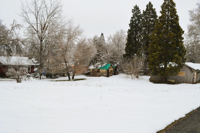 view of yard covered in snow