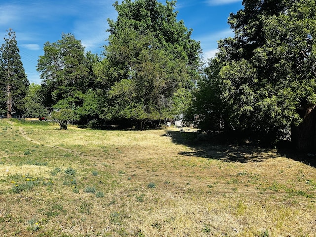 106 N W St, Yreka, CA 96097 - view of grassy yard