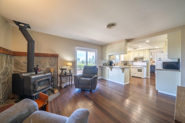 living room featuring dark hardwood / wood-style floors and a wood stove