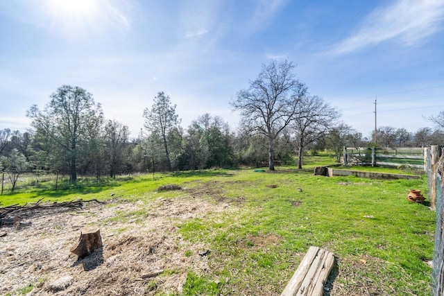 view of yard with a rural view