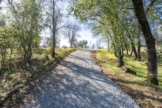 view of road