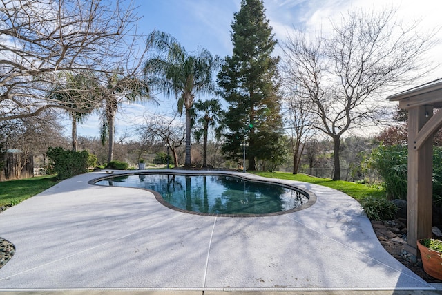 pool featuring a patio area