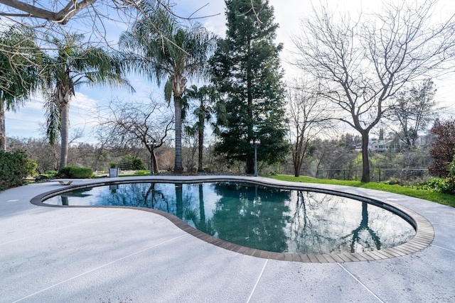 pool featuring a diving board and a patio area