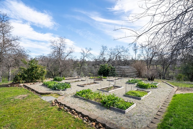 view of yard featuring a vegetable garden