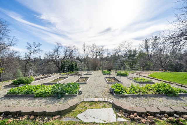 view of property's community featuring a garden