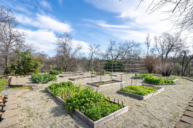 view of yard featuring a garden