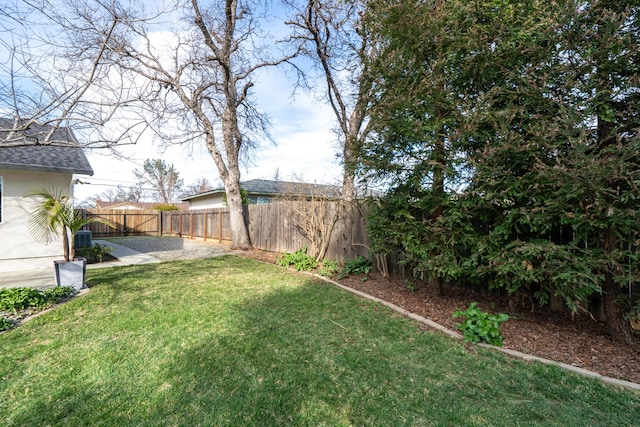 view of yard with a patio area and a fenced backyard