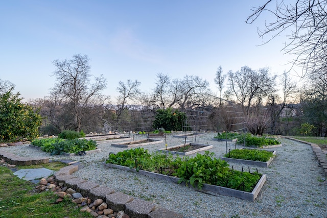 surrounding community with a garden