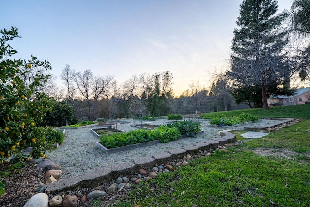 view of yard featuring fence and a garden