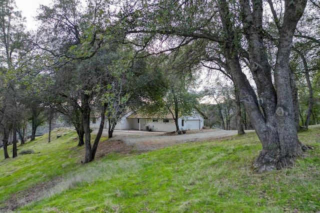 view of yard featuring driveway