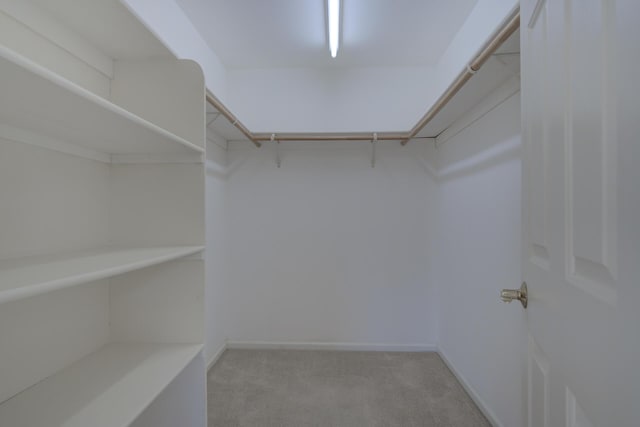 walk in closet with light carpet