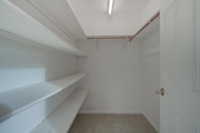 walk in closet featuring light carpet