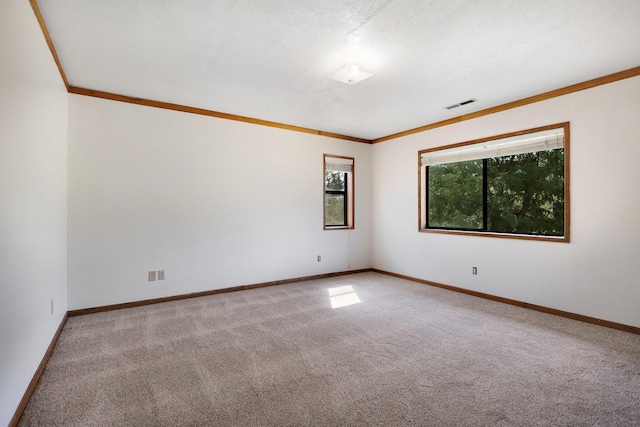 carpeted spare room with ornamental molding and a textured ceiling