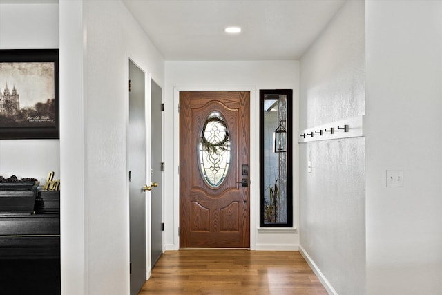 entryway featuring wood-type flooring