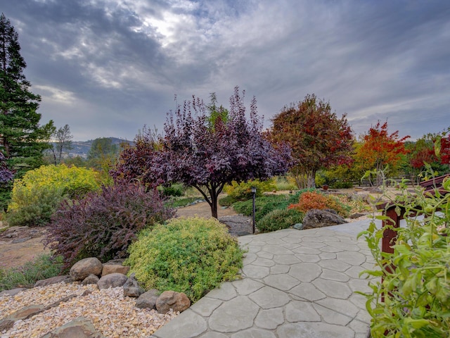 surrounding community featuring a patio