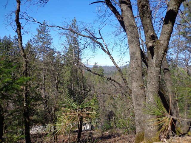 Fawn Rd, Lakehead, CA 96051 - photo 8