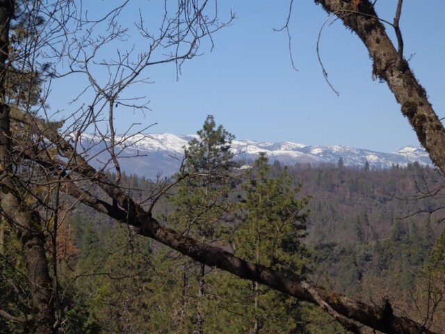Fawn Rd, Lakehead, CA 96051 - photo 9