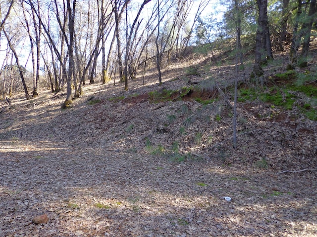 Fawn Rd, Lakehead, CA 96051 - photo 12