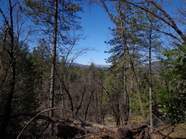 Fawn Rd, Lakehead, CA 96051 - photo 14