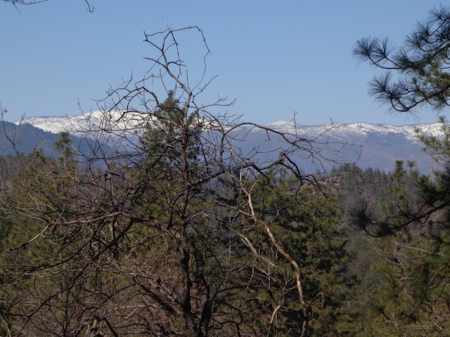 Fawn Rd, Lakehead, CA 96051 - photo 15