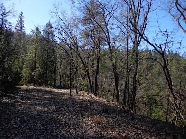 Fawn Rd, Lakehead, CA 96051 - photo 16