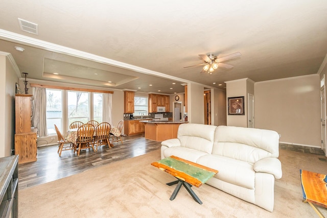 living room with hardwood / wood-style flooring, ceiling fan, a raised ceiling, and crown molding