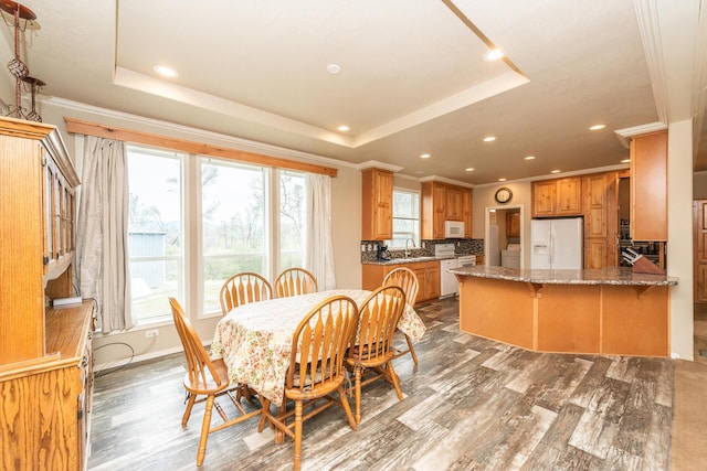 dining space featuring wood-type flooring, a healthy amount of sunlight, and a tray ceiling