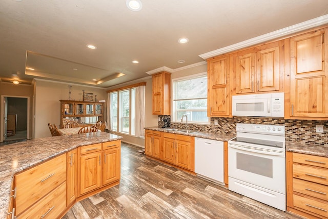 kitchen with stone countertops, white appliances, dark wood-type flooring, decorative backsplash, and sink