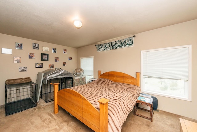 bedroom featuring carpet