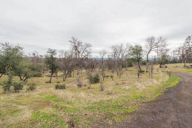 view of local wilderness featuring a rural view