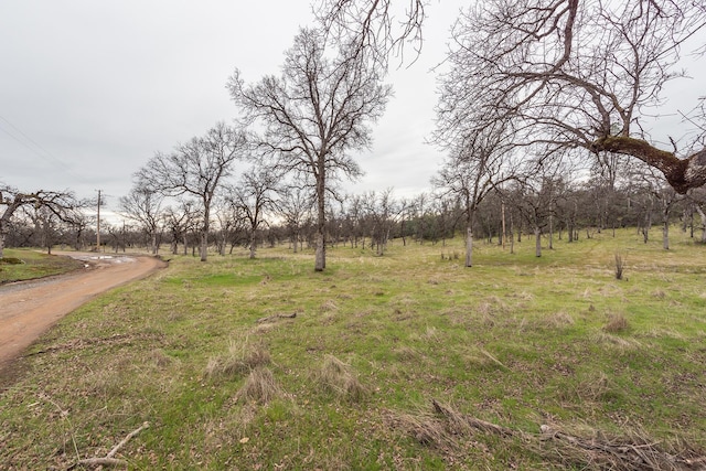 view of yard with a rural view