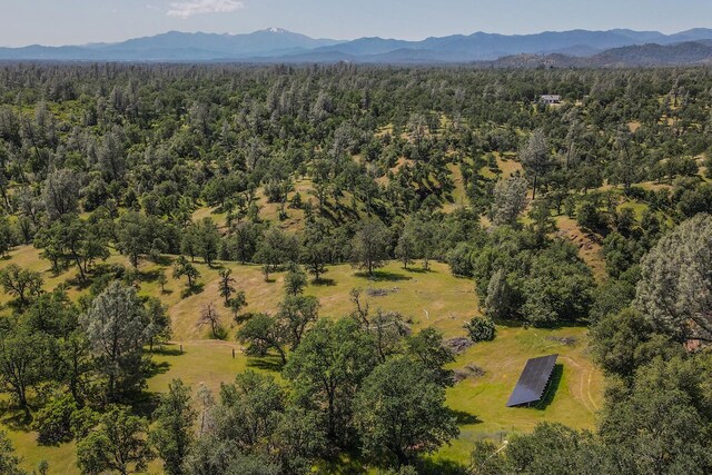21679 Squaw Grass Trl, Redding, CA 96003 - photo 36