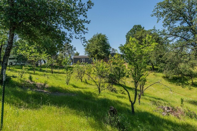 21679 Squaw Grass Trl, Redding, CA 96003 - photo 41