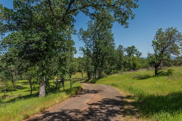 21679 Squaw Grass Trl, Redding, CA 96003 - photo 3