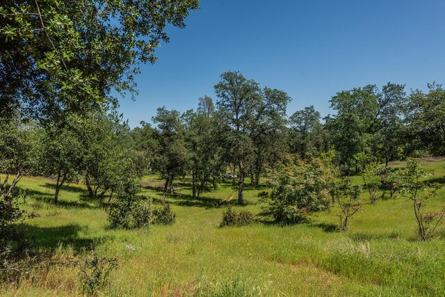 21679 Squaw Grass Trl, Redding, CA 96003 - photo 45