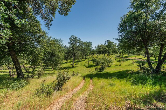 21679 Squaw Grass Trl, Redding, CA 96003 - photo 46