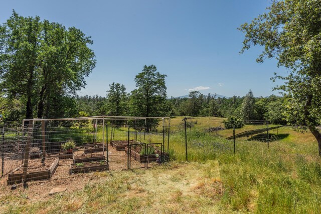 21679 Squaw Grass Trl, Redding, CA 96003 - photo 47