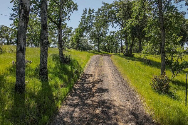 21679 Squaw Grass Trl, Redding, CA 96003 - photo 51