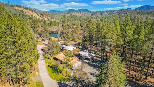 bird's eye view featuring a water and mountain view and a view of trees