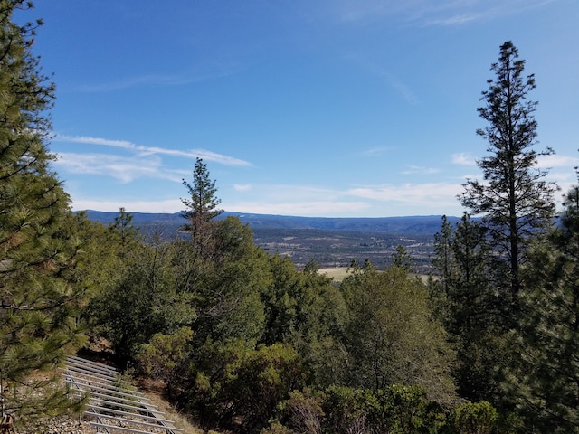 view of mountain feature