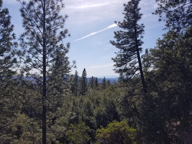 view of landscape featuring a wooded view