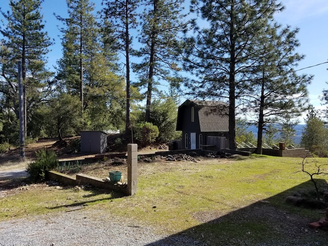view of yard featuring an outdoor structure and a storage unit