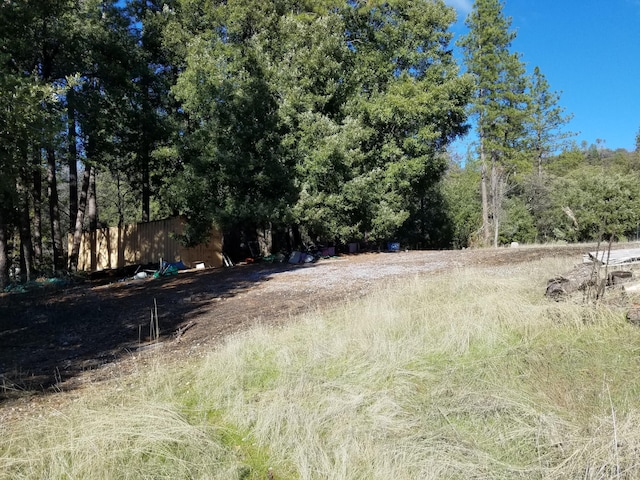 view of local wilderness