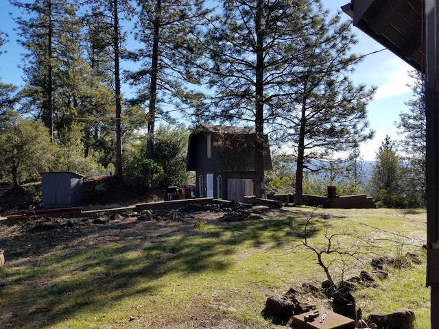 view of yard featuring an outdoor structure and a storage shed