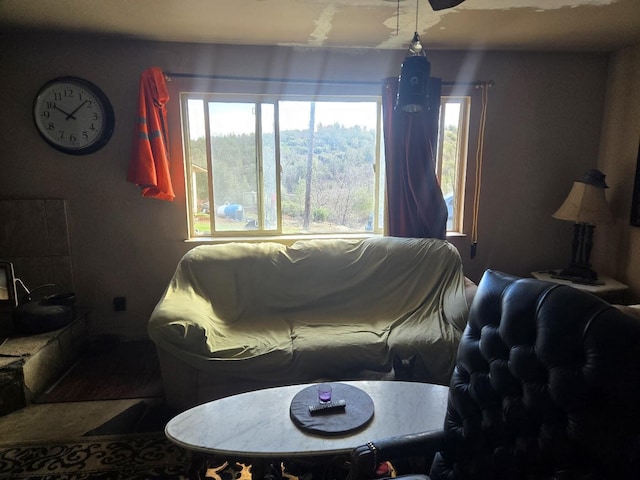 living room featuring plenty of natural light