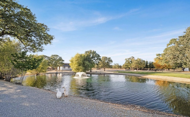 view of water feature