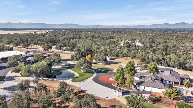 birds eye view of property with a mountain view